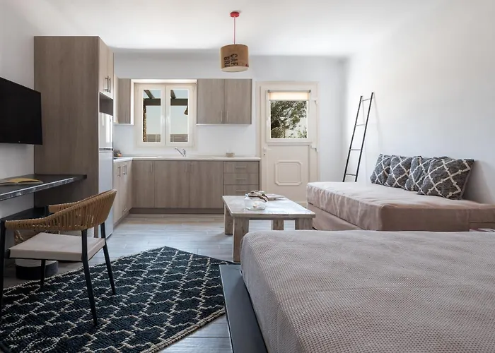 Olive Mykonos 아파트호텔 4*