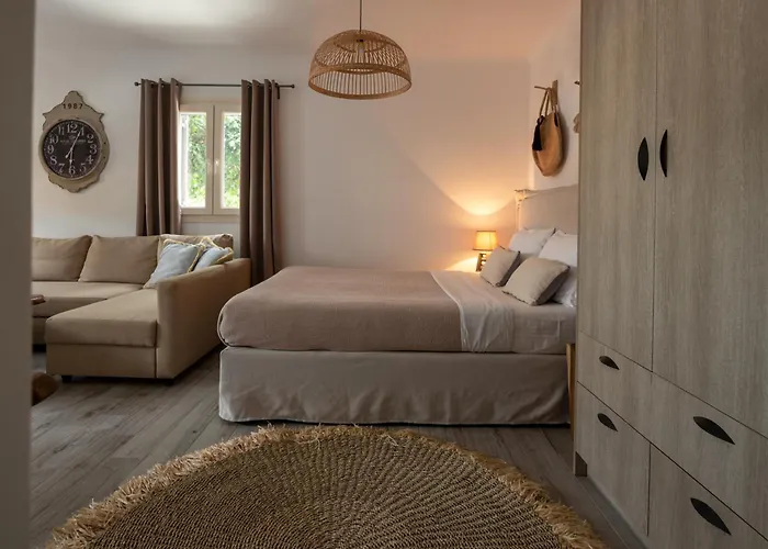 Aparthotel Olive Mykonos