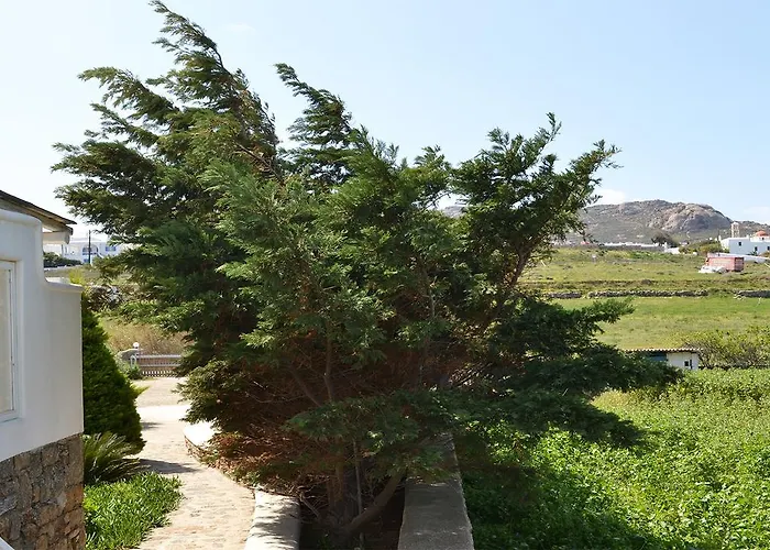 Olive Mykonos شقة فندقية