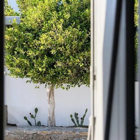 Olive Mykonos Ano Mera