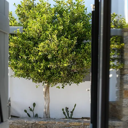Olive Mykonos