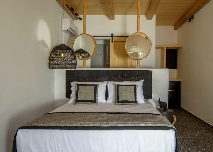 Apart-hotel Olive Mykonos 4*