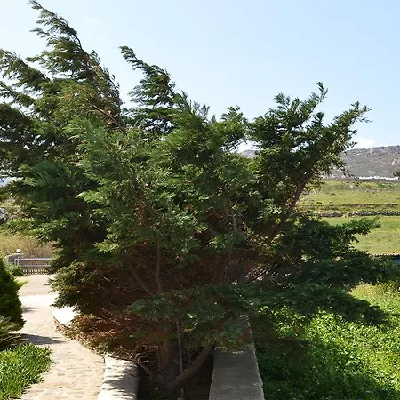 Olive Mykonos 公寓式酒店